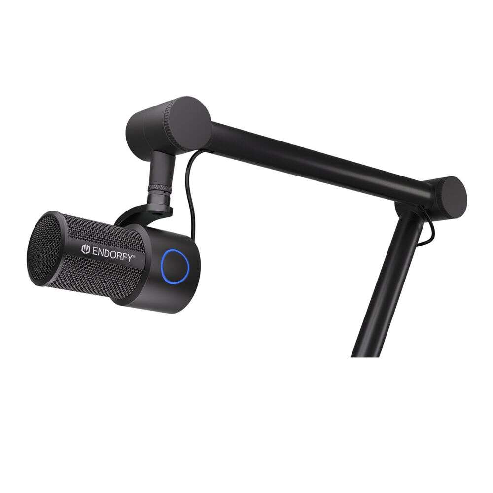 Mic Endorfy Solum Studio