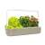 Click and Grow Smart Garden 9 so šalátom, bazalkou a paradajkami