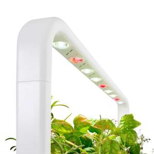 Click and Grow Smart Garden 9 z bazylią, pomidorami i sałatą rosnącymi pod światłami LED - Doniczka