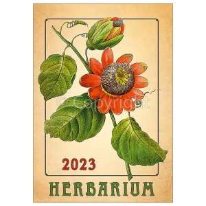 Herbarium 2023-as falinaptár, borító piros virág illusztrációval - Irodai kiegészítő