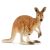 Schleich Australian Kangaroo Mother and Joey Figurine