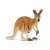Schleich Red Kangaroo with Joey Figurine