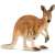 Schleich Red Kangaroo with Joey Figurine