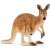 Schleich Red Kangaroo with Joey Figurine