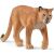 Detailed Schleich Puma figure, educational animal toy