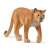 Schleich Wild Life Puma figure, realistic animal figurine for kids