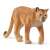 Schleich Wild Life Puma figure, realistic animal figurine for kids