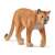 Schleich Wild Life Puma figure, realistic animal figurine for kids