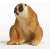 Schleich Wild Life Slow Loris figure, brown, sitting, front view