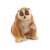 Schleich Wild Life Slow Loris figure, brown, sitting, front view