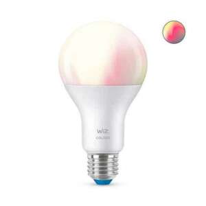 WiZ A67 smart bulb with color changing capabilities - Lamp & Lighting