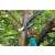 Gardena Comfort SmartCut Ratchet Anvil Pruner in use, pruning a tree branch