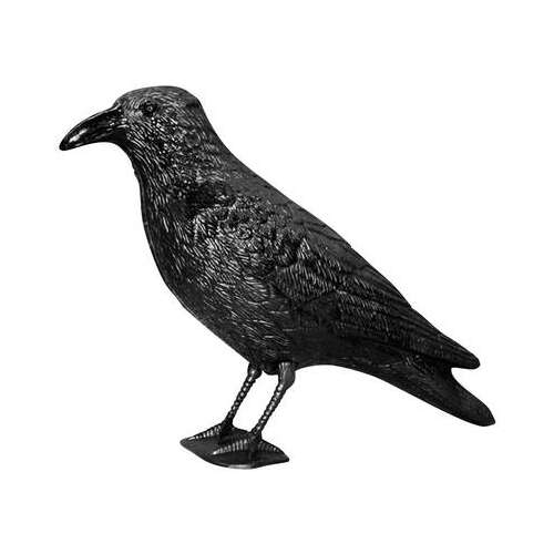 Swissinno crow bird scarer, black, plastic, for outdoor use