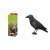 Swissinno Krähe Vogelscheuche, schwarz, Kunststoff, für den Außenbereich, in der Verpackung
