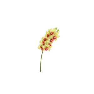Orchidea művirág sárga 1 méter 70499429 