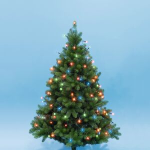 Home by Somogyi KII200/M LED-Lichterkette schmückt einen Weihnachtsbaum - Weihnachten