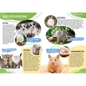 Állatkölykök - A világ legcukibb állatai 32801056 Foglalkoztató füzetek, matricás