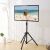 Techly Universal Portable TV Stand for 17-60 inch TVs in living room