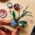 LEGO Botanicals 10311 Orhideja 71135048