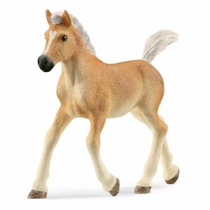 Detailed Schleich Haflinger Foal Toy Figure - Schleich