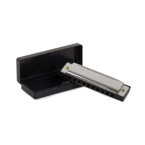 Silver 10-hole harmonica with black case, C-major