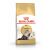 Royal Canin Persian Adult sucha karma dla kota, torba