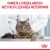 Kot u weterynarza - Royal Canin Hairball Care
