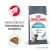 Royal Canin Hairball Care redukuje powstawanie kul włosowych