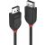 LINDY Display-Anschluss Anschlusskabel [1x DisplayPort-Stecker - 1x DisplayPort-Stecker] 2,00 m Schwarz 71313852