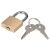 Padlock and Keys for YATO Tool Cart