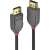 LINDY 5m DisplayPort 1.2 Kabel, schwarz, 4K, 3D, 21.6Gbps