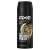 Axe Gold Temptation Deodorant Body Spray, 48 hours non-stop fresh, Gold Amber Scent