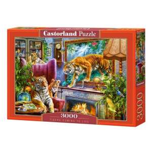 Castorland puzzle 3000 db-os - Tigrisek 32045759 Puzzle - 3000 - 3500 db