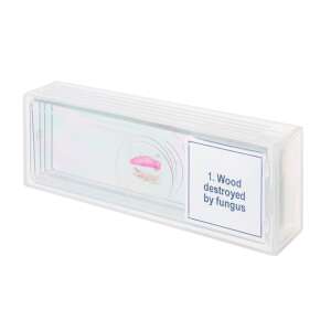 Discovery Prof DPS 5 Mikroszkóp Tárgylemez Készlet "Mutációk" - Gomba által elpusztított fa - Mikroszkóp kiegészítő