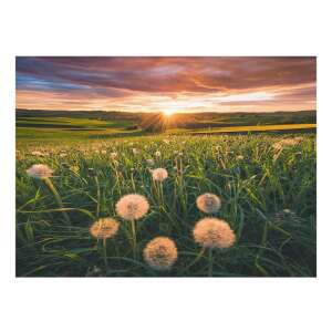 Păpădie apus de soare, puzzle Ravensburger 500 de piese - Ravensburger Puzzle