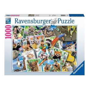 Ravensburger 1000 piece jigsaw puzzle, The Traveler's Animal Journal, featuring a collage of photos of exotic animals from around the world - Puzzle