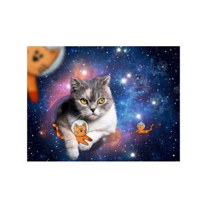 Ravensburger Cicák az űrben Puzzle 1500 dielikov obrázok - Puzzle