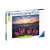 Ravensburger 500 piece jigsaw puzzle box, Lupine field at sunset, Nature Edition