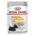 ROYAL CANIN CCN DERMACOMFORT LOAF Nassfutter für ausgewachsene Hunde, 12 x 85 g 71590223