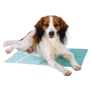 Kutya hűsöl a Trixie hűtőpárnán - Állattartás