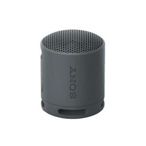 Sony SRS-XB100 portable Bluetooth speaker, black - Audio