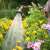 Gardena Comfort watering lance, adjustable nozzle, watering flowers