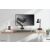 NewStar monitor mount on adjustable standing desk