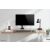 NewStar DS70-450BL1 17"-42" Uchwyt biurkowy do TV/Monitora LCD - Czarny 71753259