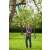 Gardena Telescopic Pole Saw TCS 720/20, electric pole saw being used to prune branches