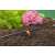 Gardena Micro-Drip-System adjustable dripper for potted plants