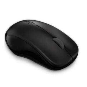 Rapoo 1620 Wireless Mouse - Black, 2.4GHz, 1000 DPI, ergonomic design, long battery life - Mouse
