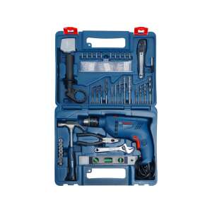 Bosch GSB 600 burghiu cu percuție cu set de accesorii de 100 piese în valiză - Bosch Accesorii pentru găurit și înșurubat