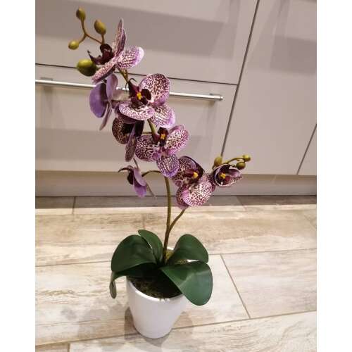 Lila orchidea dekor 1 szálas 32071336