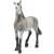 Schleich Pura Raza Espanola foal figurine, grey horse toy, hand-painted, realistic detail, front view